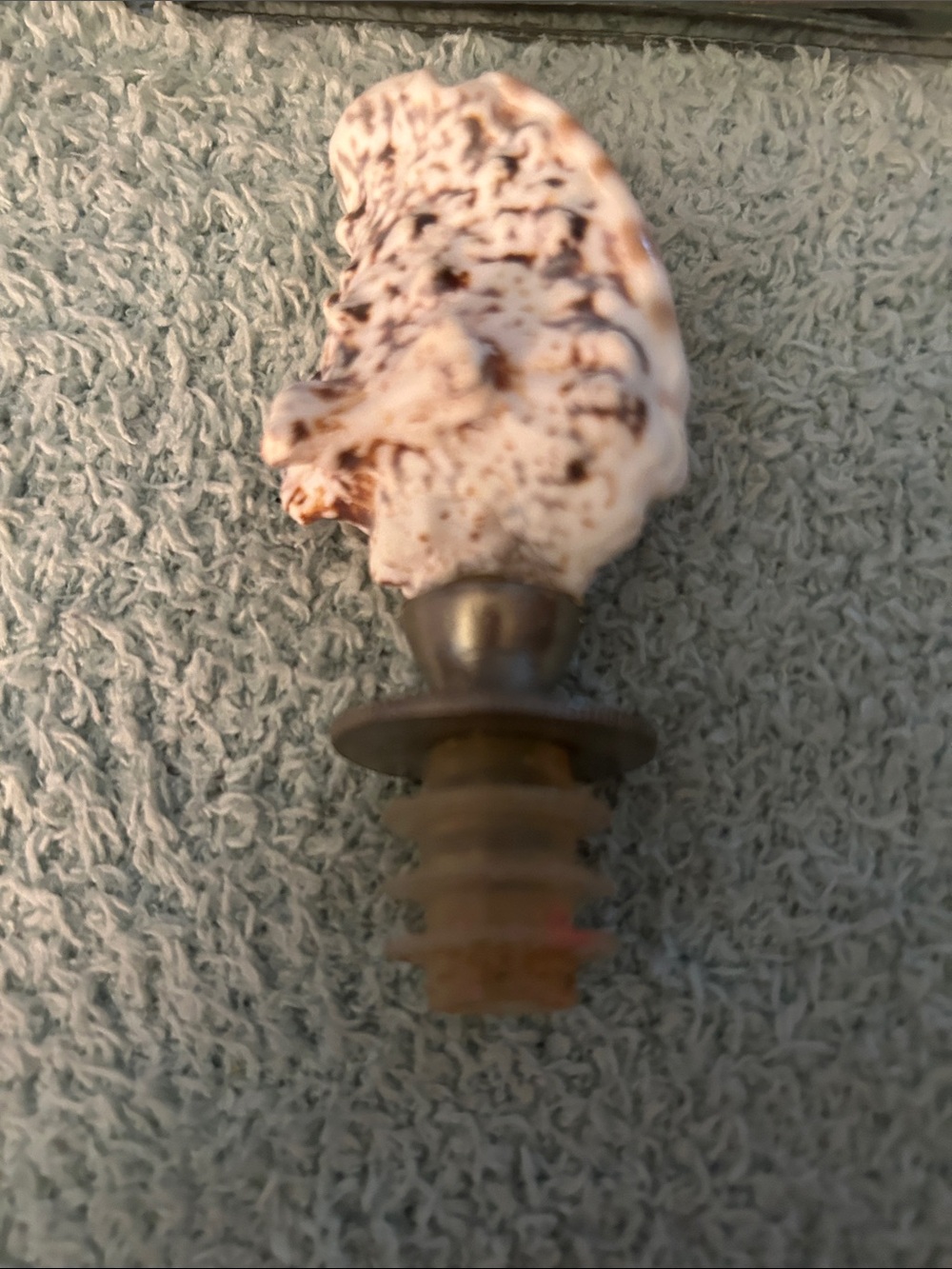 Odd shaped Bottle containing seashell with shell stopper & seashell wine stopper - Picture 10 of 11